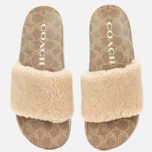 NWT Coach Ulla Slide